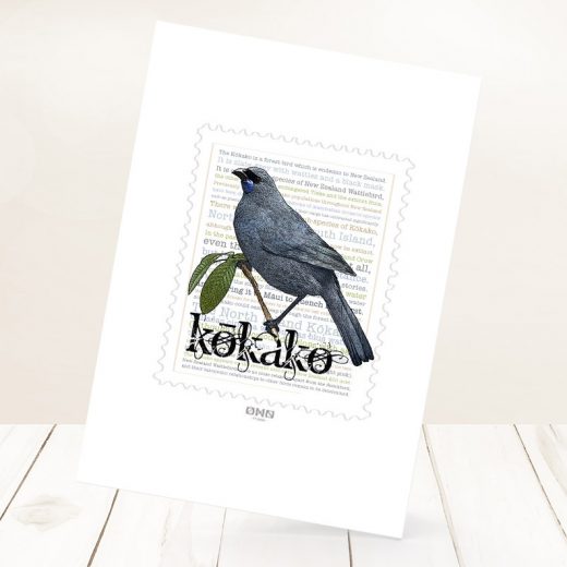 Kokako print on card.