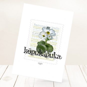 Kōpukapuka print on card.