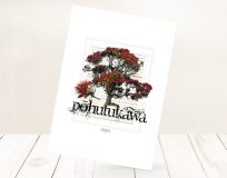 Pōhutukawa (2017)