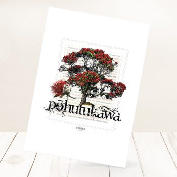 A4 print-Pohutukawa 2017