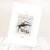 Wētā print on card.