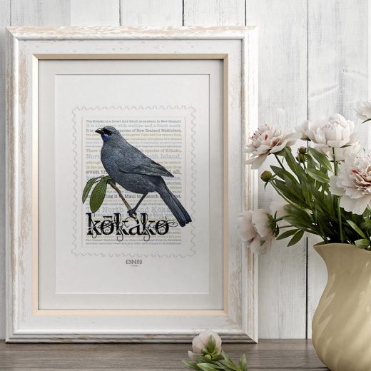 Kokako print on card. print display in frame