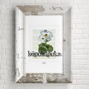 Kōpukapuka print on card. print display in frame