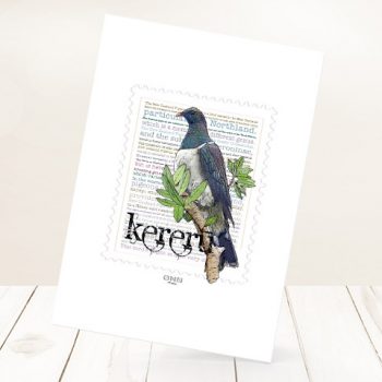 Kereru print on card