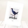 Pūkeko print on card.