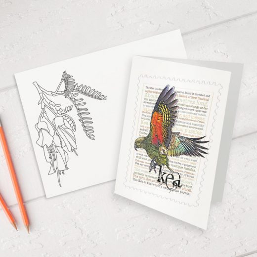 Kea print on greeting blank card with colour-in envelope.