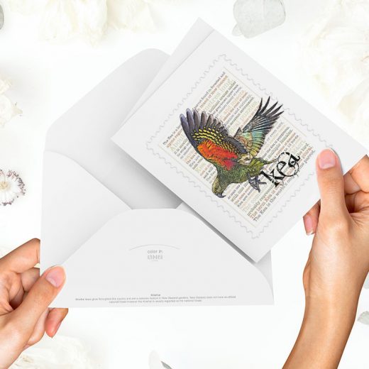 Kea print on greeting blank card with colour-in envelope.
