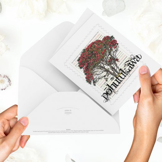 Pōhutukawa print on greeting blank card with colour-in envelope.