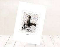 NZ Fur Seal
